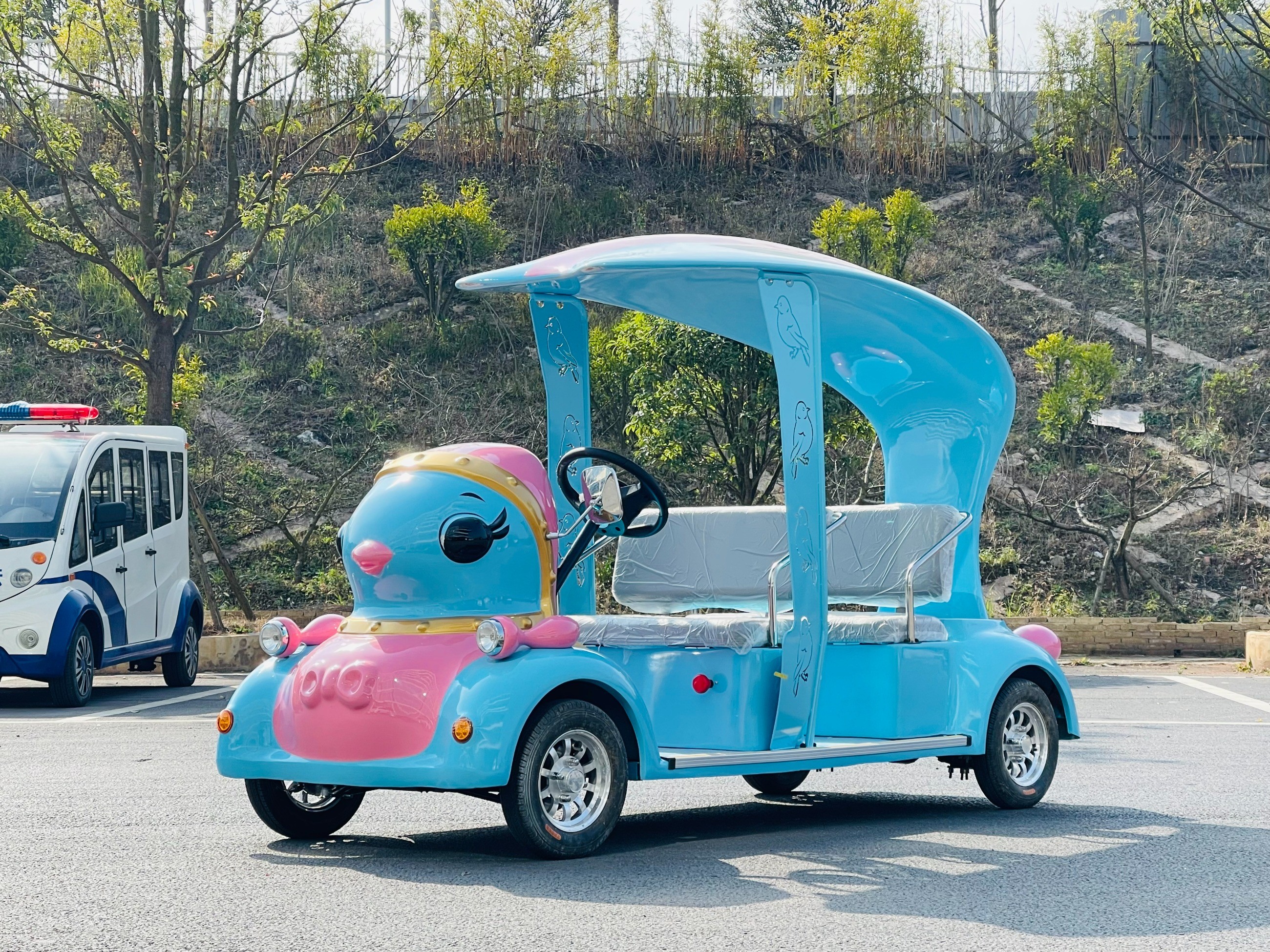 電動觀光車