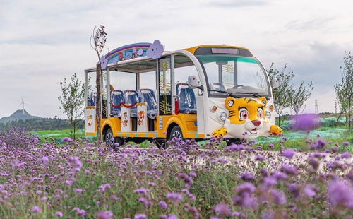 電動觀光車廠家哪個品牌好，電動觀光車市場價格